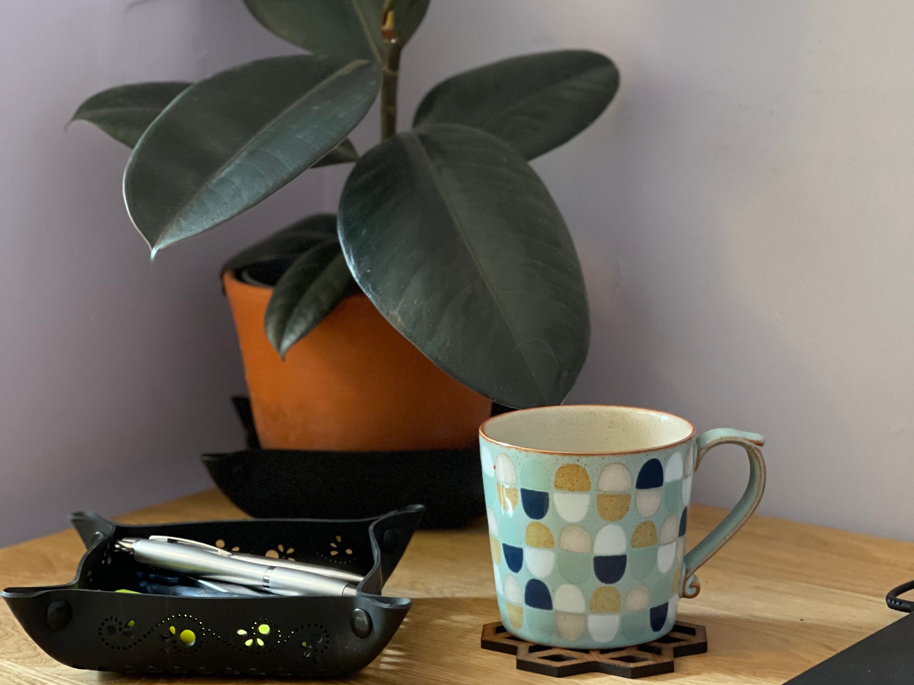 Transform Your Office Space: Lesser-Known Tips for a Sustainable Workspace
